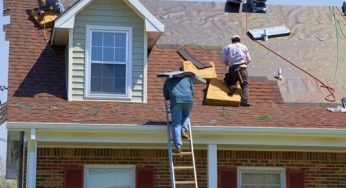 Roof Maintenance: Why You Should Leave It to the Pros