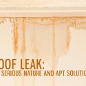 Roof Leak: Its Serious Nature and Apt Solutions