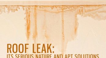 Roof Leak: Its Serious Nature and Apt Solutions