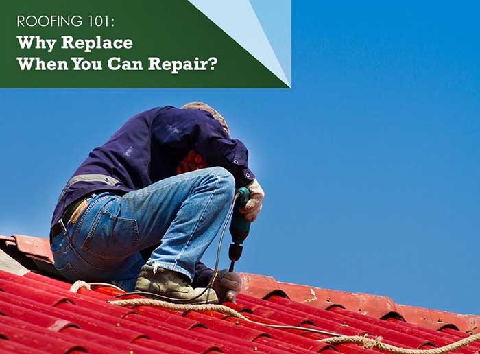 Why Replace When You Can Repair