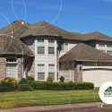 Mold and Algae on Roofs: What’s the Difference?