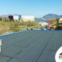 EPDM and TPO: A Look at Your Single-Ply Roofing Options