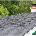What Are the Signs Your Aging Roof Should Be Replaced?