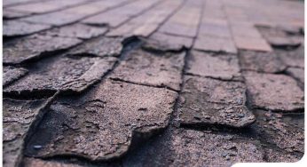 Shingle Cracking and Splitting: How Are They Different?