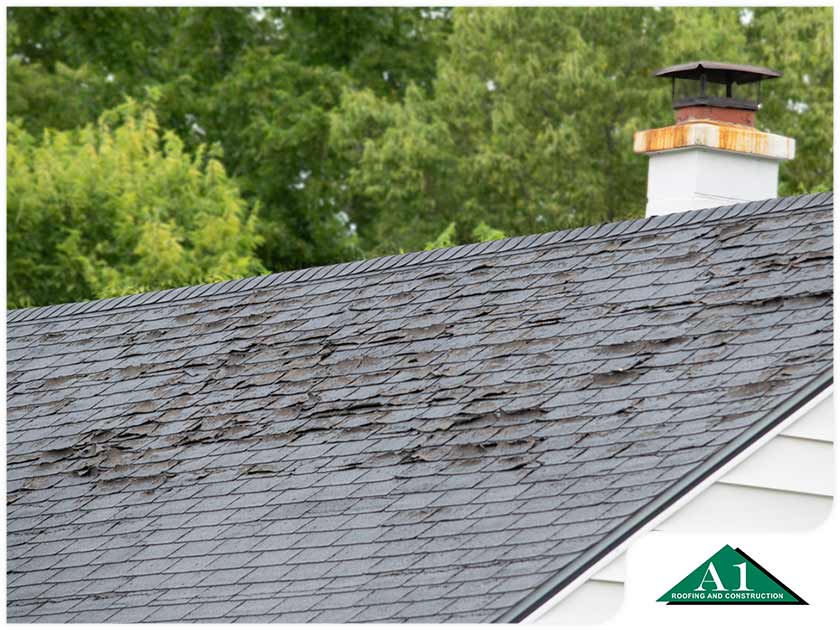 What Are The Signs Your Aging Roof Should Be Replaced