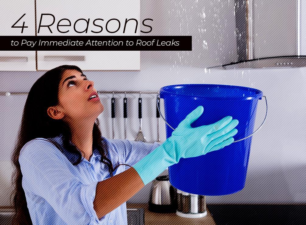 4 Reasons To Pay Immediate Attention To Roof Leaks