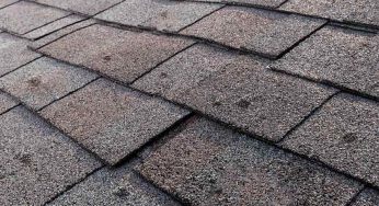 Why Asphalt Shingle Blisters