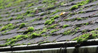 The Dangers of Delaying Roof Replacement
